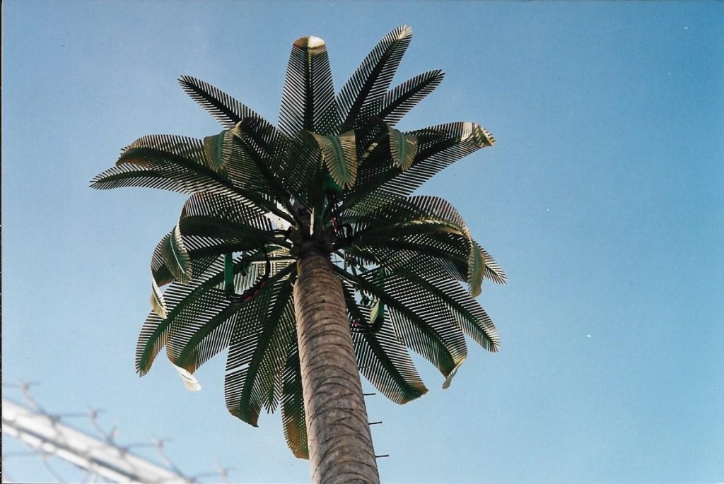 Monopostes mimetizados premiumm